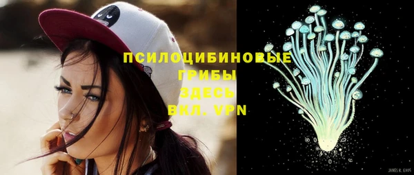 ГАЛЛЮЦИНОГЕННЫЕ ГРИБЫ Горно-Алтайск