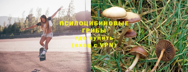 молекула духа Горняк