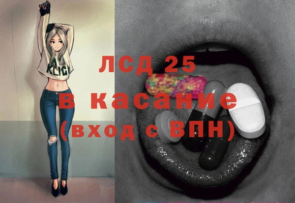 ГАЛЛЮЦИНОГЕННЫЕ ГРИБЫ Горно-Алтайск