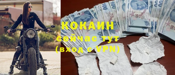ГАЛЛЮЦИНОГЕННЫЕ ГРИБЫ Горно-Алтайск