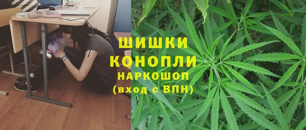 молекула духа Горняк
