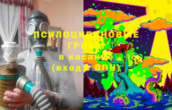 ГАЛЛЮЦИНОГЕННЫЕ ГРИБЫ Горно-Алтайск