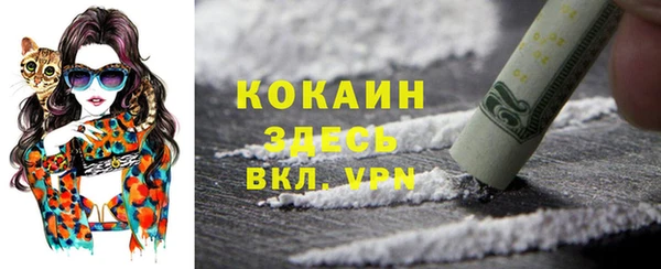 молекула духа Горняк