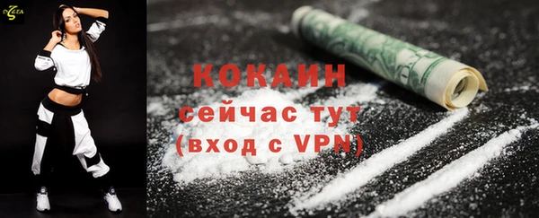 молекула духа Горняк